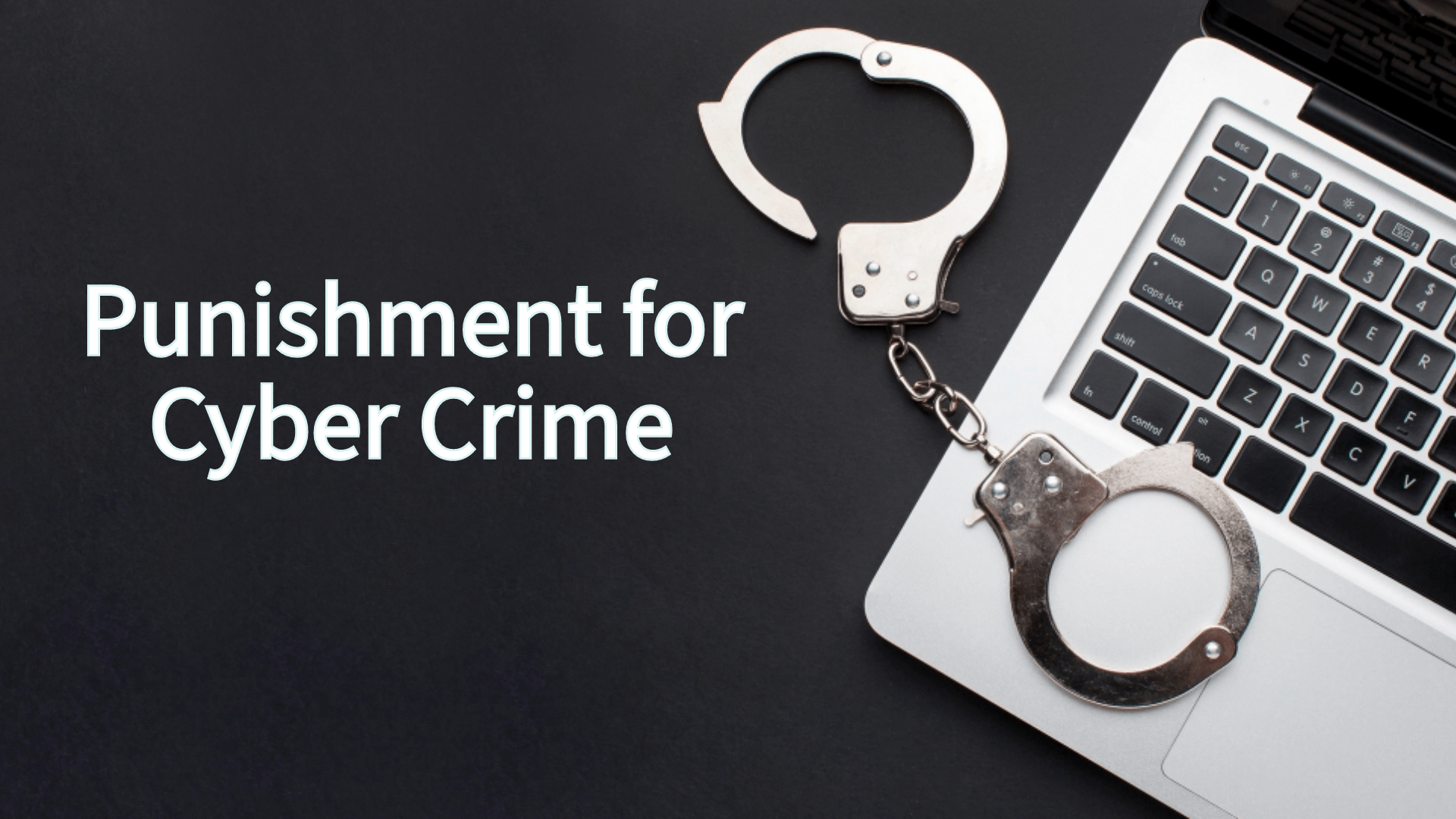 What is the punishment for cyber crime?